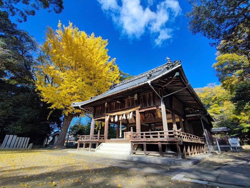 愛媛県・浮嶋神社様にて御守り・御朱印の2026年版予約開始　
神代文字の一種である龍体文字と御守り・御朱印が現代で融合