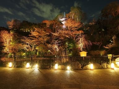 ホテル椿山荘東京「花灯路」