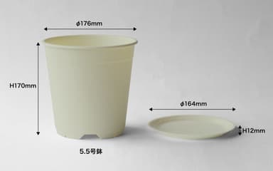 鉢・受け皿サイズ(3)