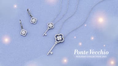 ホリデーコレクション 2025