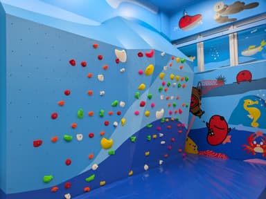 子供向けボルダリング
