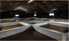 工場見学も大人気です！