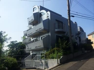 コットン写真