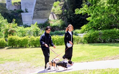 自然あふれるコース