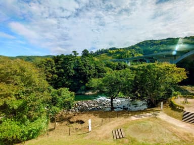 伊豆半島のドライブ旅におすすめ