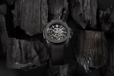 Wild ONE Skeleton JP-1