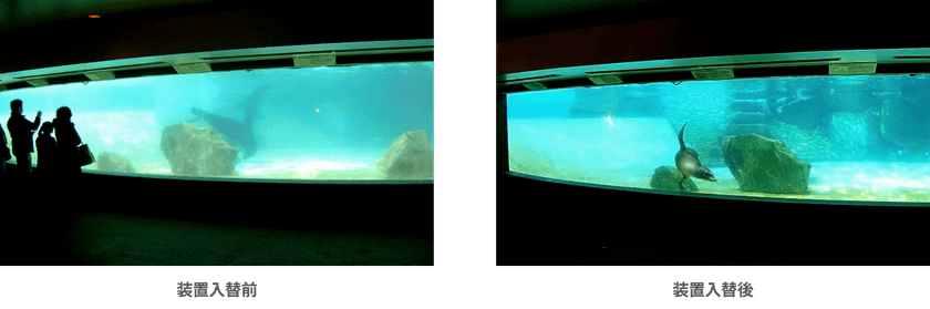 コーヒーの脱色からアシカプールの水質改善、除草剤の分解まで　
オゾンに特化した研究室「オゾンラボ」
失敗例含むリアルな実証実験データ200件を公開