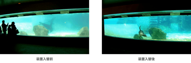 アシカ池の水質改善