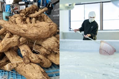 葛粉の原料(葛根)と製法