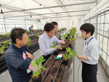 デンソー×DPT(1)