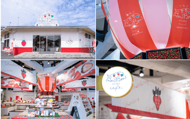 いちごBonBonBERRY 伊豆の国factory」について