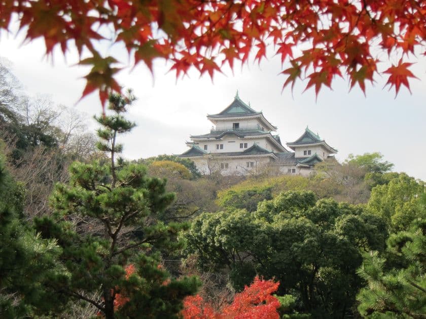 名勝・西之丸庭園を歩く
紅葉と光に包まれる秋のひととき
写真映え間違いなしの、秋限定ビュースポット！