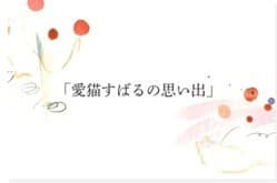 愛猫すばるの思い出