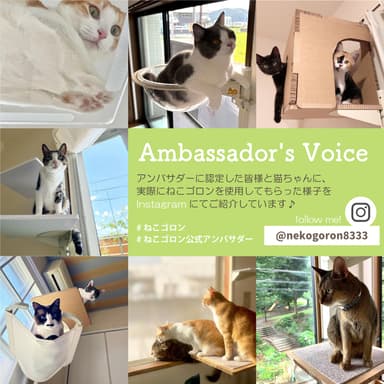 Instagramをチェック