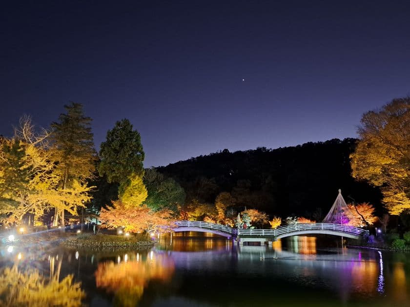 東京・町田市「秋遊び2025」開催中！
～秋の夜を彩る、幻想的な雲海と紅葉ライトアップ～