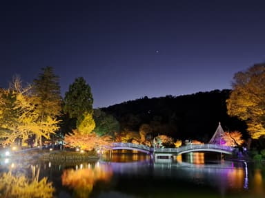 紅葉ライトアップ