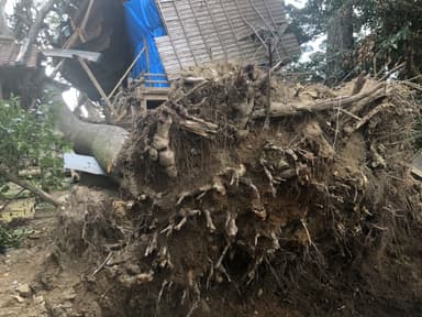台風での被害