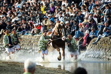 客席の前を神馬・飾馬が疾走
