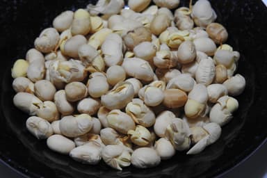 発芽ミスニセコ大豆