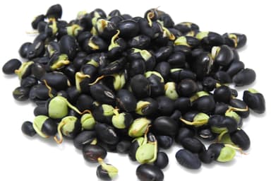 発芽黒千石大豆