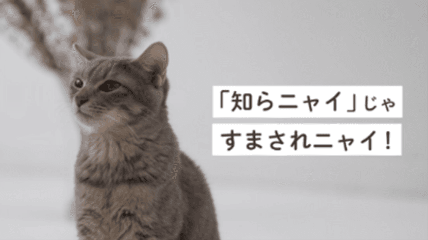 ～九都県市連携企画～　
事業者への「プラスチックごみの分別啓発」を共同で行います