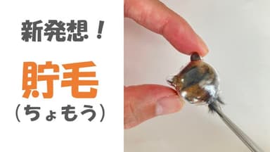 新発想の貯毛(ちょもう)
