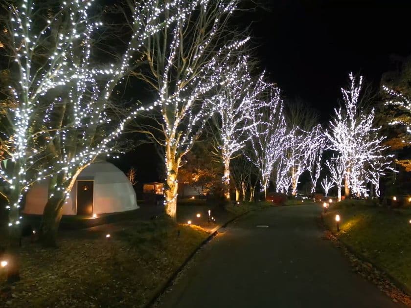 グランピングリゾート ブリリアントヴィレッジ日光　
まもなく開業3周年！4万球のLEDが灯る
「イルミネーションナイト2025」11月29日より点灯開始！