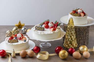 TAMAGOYAクリスマスケーキ