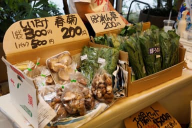 新米・野菜も福島から直送