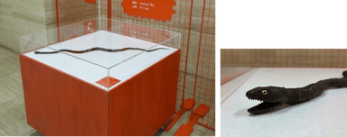 【展示台1】動態展示台