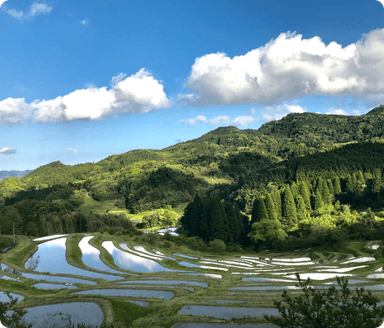 大山千枚田保存会