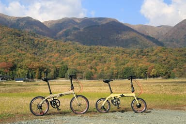 TRANS MOBILY NEXT_newcolor1