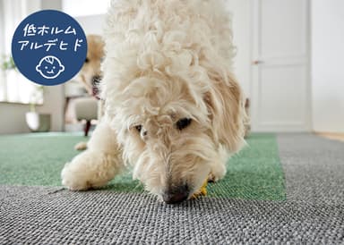 低ホルムアルデヒド