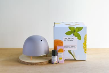 TNOT Christmas Collection