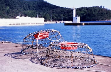 このカゴに餌を入れて、仕掛ける