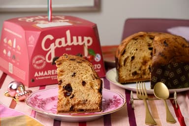 アマレーナとダークチョコレートのパネットーネ