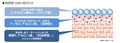 アクアモイスト（高密度うるおい処方とは）