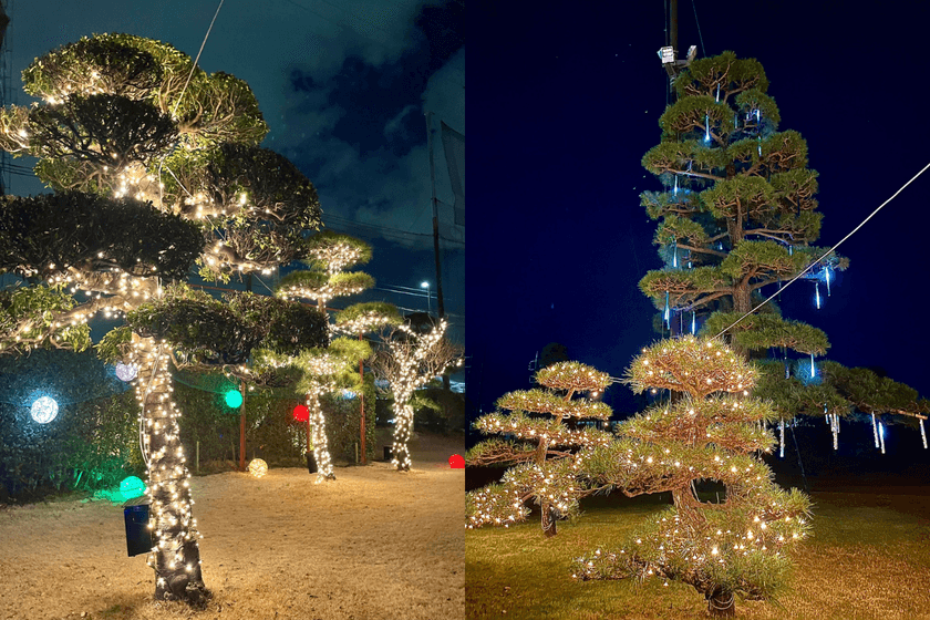 “光の中で打つ”新感覚ゴルフ体験！座間の夜を彩る
『ZAMA GOLF ナイトイルミネーション 2025』が開幕