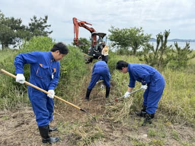 植生回復活動の様子