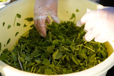 たるいっぱいのせり