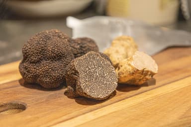 アルバ産トリュフ