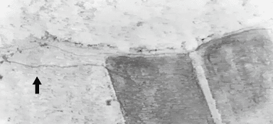 <ドローンを活用して発見した獣道　＊矢印が獣道>