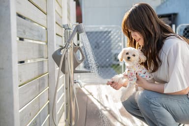 わんちゃんと宿泊(太陽の棟足洗い場)