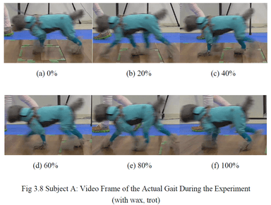 実験中の歩行(ビデオフレーム)