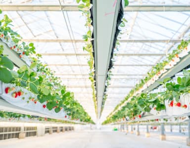 【the BERRY YOKOHAMA】2025-2026年シーズングランドOPEN