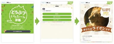 診断の流れ