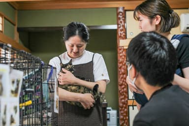 しっぽのしらべの活動の様子