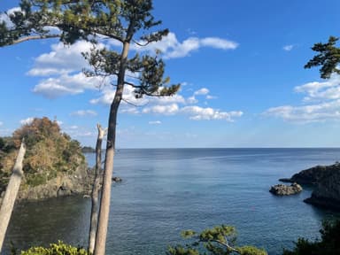 トレッキングコースからの風景