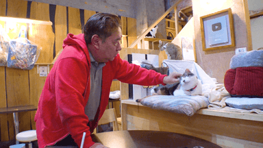 大阪で発見！救世主は猫!? SNSで人生が激変した「売上10倍さん」1