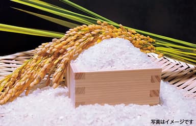 「新米すくい放題」500円(税込)